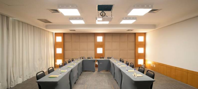 波旁贝洛奥里藏特阿丰索佩纳商务酒店(Bourbon Belo Horizonte Savassi)图片