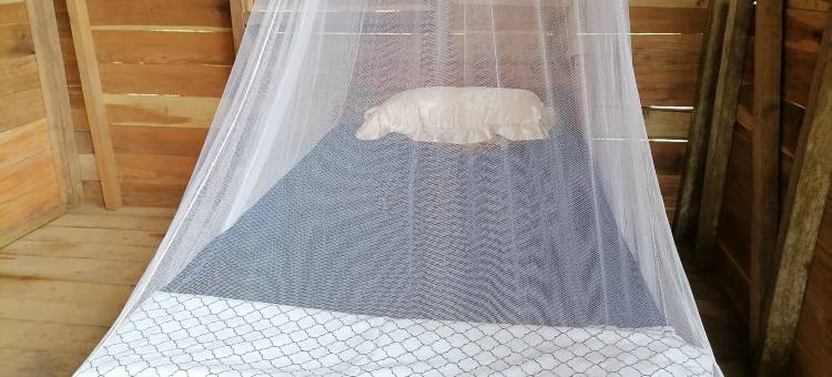 布里布里苏莱(Bribri Ù sule)图片