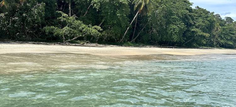 KAÑIK公寓酒店(KAÑIK Apart Hotel)图片