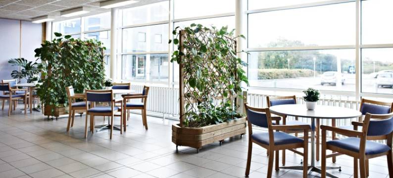 灵克宾大宿舍酒店(Danhostel Ringkøbing)图片