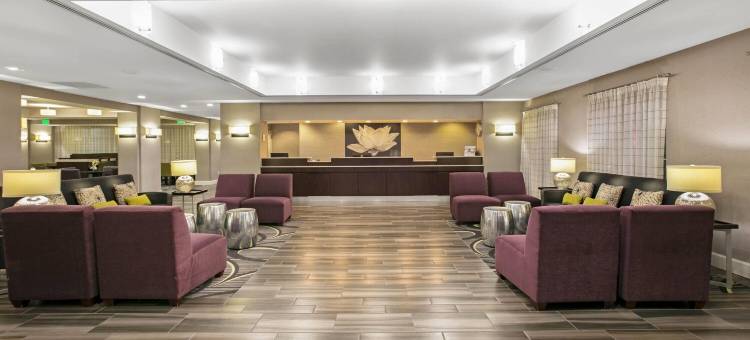 欧文DFW机场南拉昆塔温德姆套房酒店(La Quinta Inn & Suites by Wyndham DFW Airport South / Irving)图片