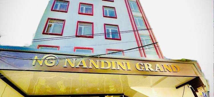 南迪尼大酒店(Hotel Nandini Grand)图片