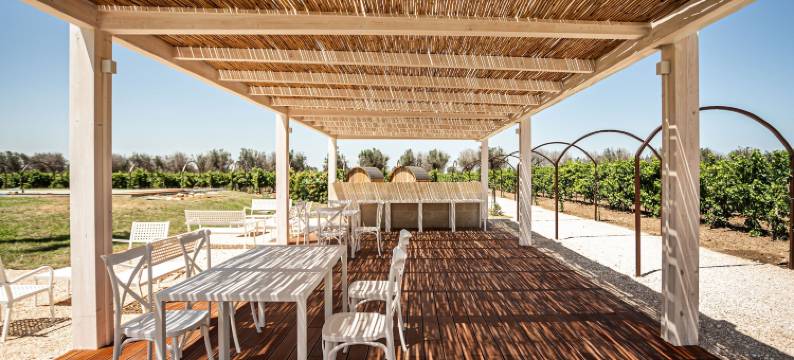 托尔林齐酒庄 - 葡萄酒驿站(Masseria Torleanzi Wine Relais)图片