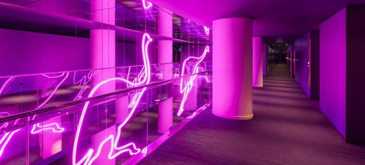 悉尼 W 酒店(W Sydney)图片