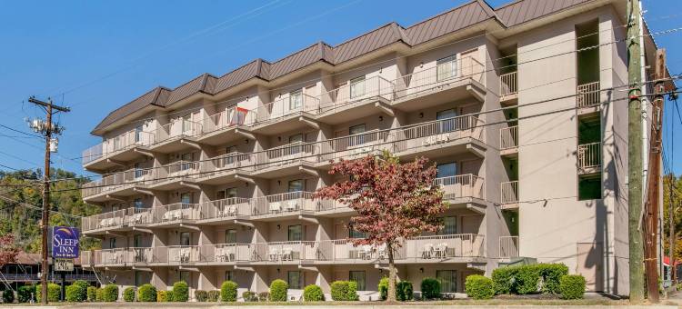 运动世界大道附近舒眠套房酒店(Sleep Inn & Suites Near Sports World Blvd)图片