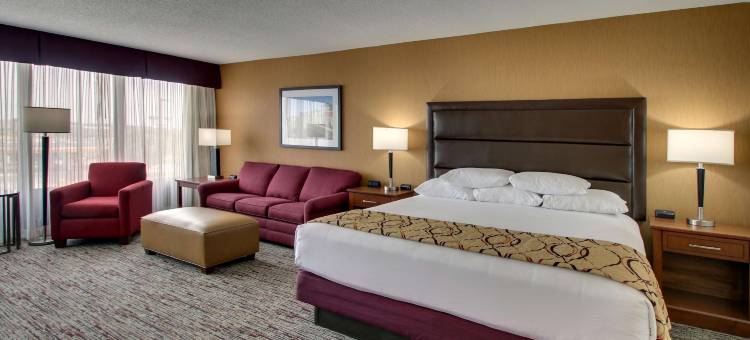 埃文斯维尔东德鲁里套房酒店(Drury Inn & Suites Evansville East)图片