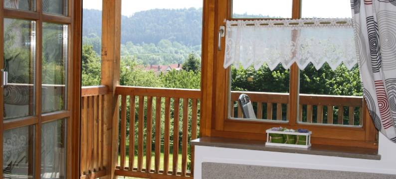 阿尔特米尔多诺尔公寓酒店(Donauer im Altmühltal - Ferienwohnungen)图片