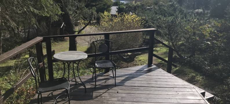 漂流木村度假酒店(Driftwood Village Resort)图片