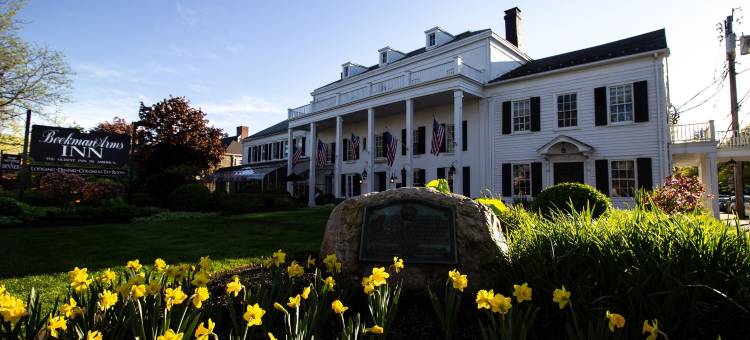 比克曼阿姆斯和德拉梅特旅馆(Beekman Arms and Delamater Inn)图片