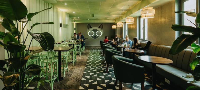 艾尔广场金雷旅舍(Kinlay Hostel Eyre Square)图片