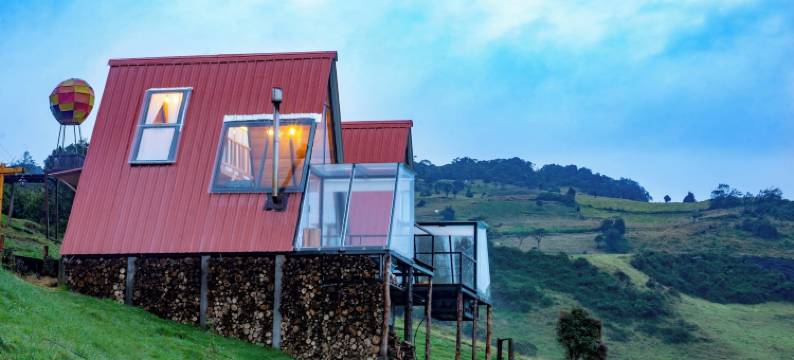 梦中的雪松(El Cedro SOÑADO)图片