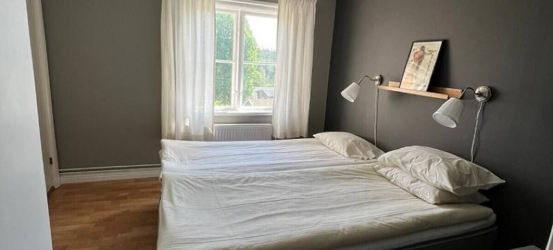 尼伊坦斯库罗特酒店(Nyhyttans Kurort)图片