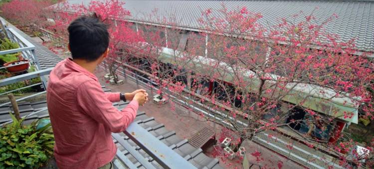 微微风民宿图片