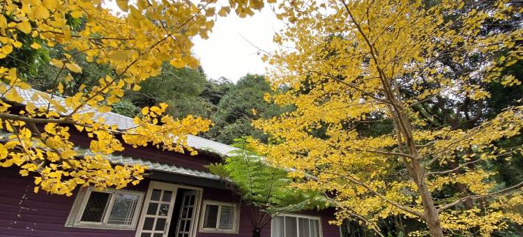 仙山农园民宿图片