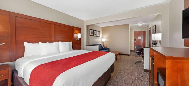 舒适酒店-俄克拉何马市南240号州际公路(Comfort Inn Oklahoma City South - I-240)图片