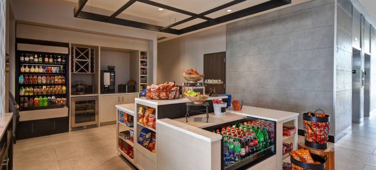 西兰辛希尔顿花园酒店(Hilton Garden Inn Lansing/West)图片