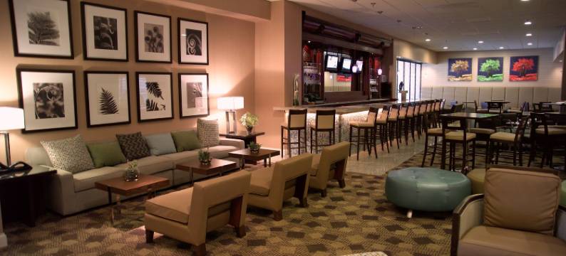 圣路易斯西港逸林酒店(DoubleTree by Hilton Hotel St. Louis - Westport)图片