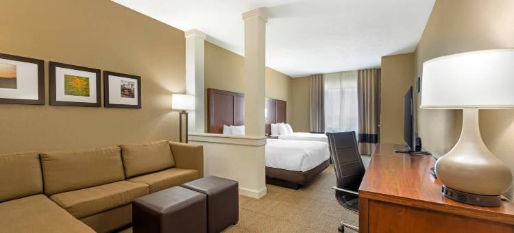西奥马哈舒适套房酒店(Comfort Suites West Omaha)图片