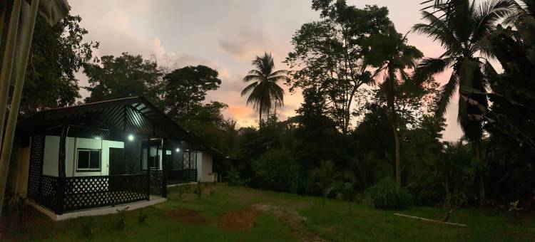 大滩旅馆(Playa Grande Lodge & Tree House)图片