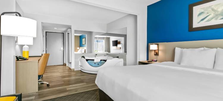 舒适套房酒店大布兰克/弗林特(Comfort Inn & Suites Grand Blanc-Flint)图片