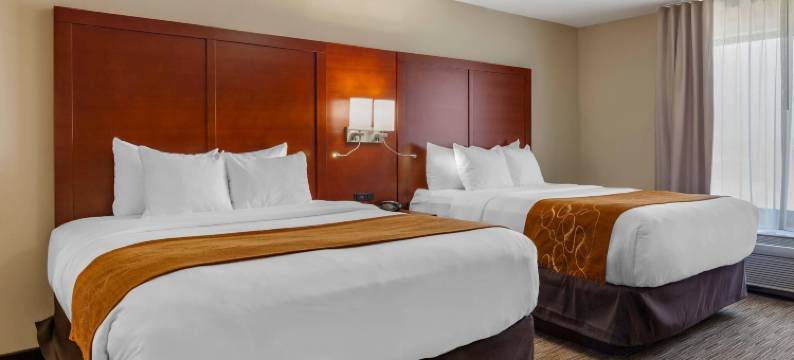 奥什科什舒适套房酒店(Comfort Suites)图片