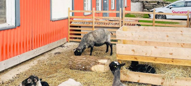 5 person holiday home in BREDARED-By Traum图片