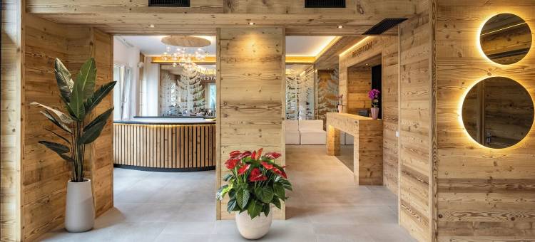 TH Cadore - Hotel Antelao图片