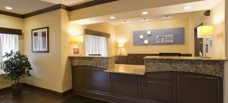 芝加哥迪尔菲尔德/林肯郡智选假日套房酒店(Holiday Inn Express & Suites CHICAGO-DEERFIELD/LINCOLNSHIRE by IHG)图片