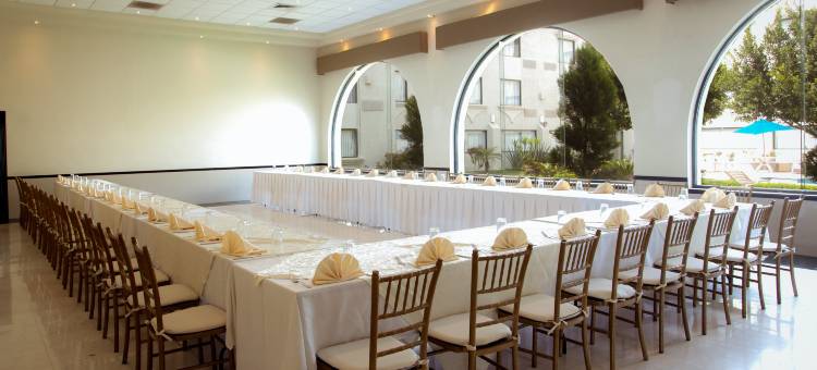 曼克拉瓦嘉年华酒店(Fiesta Inn Monclova)图片