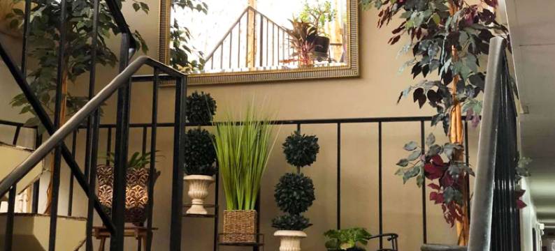 曼斯费尔德M星酒店(M Star Hotel Mansfield)图片