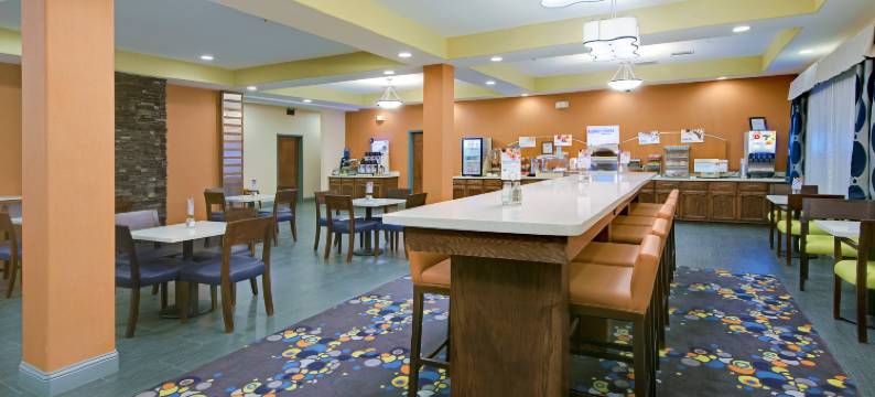 莫纳汉斯I-20智选假日套房酒店(Holiday Inn Express & Suites MONAHANS I-20 by IHG)图片