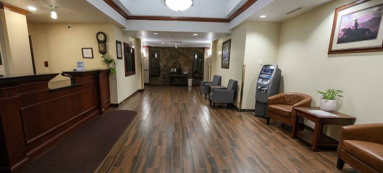 美国斯戴套房酒店(Stay USA Hotel and Suites)图片