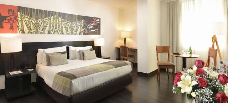 普罗维登斯欧洲电信酒店(Hotel Eurotel Providencia)图片