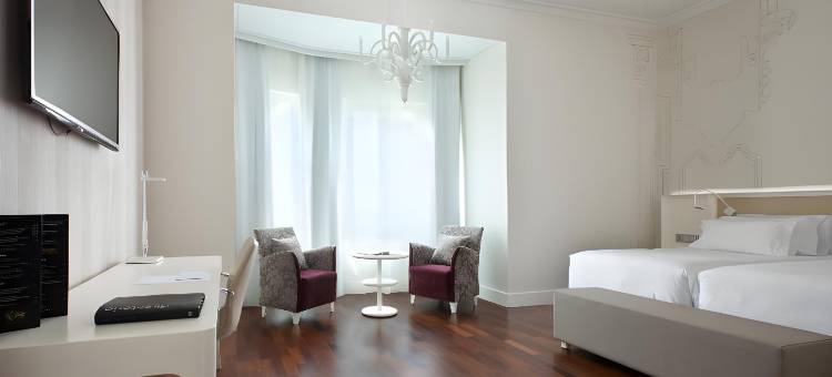 阿瓦斯卡尔NH典藏酒店(NH Collection Madrid Abascal)图片