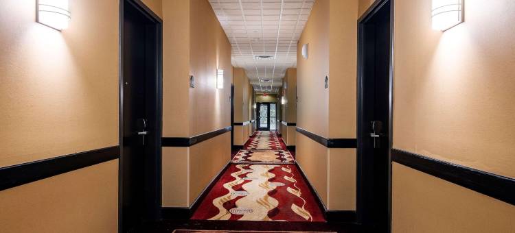 Wingate by Wyndham State Arena Raleigh/Cary图片