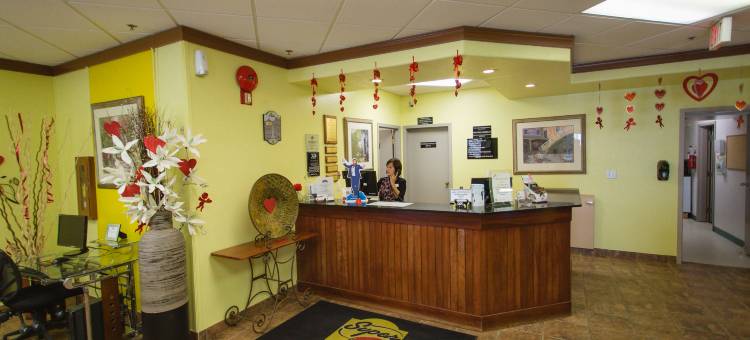 德雷顿瓦利速8酒店(Super 8 by Wyndham Drayton Valley)图片