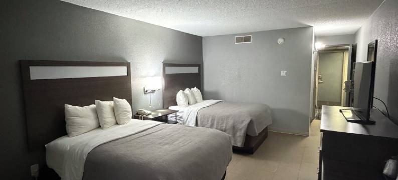 冷水溪凯艺套房饭店 - 靠近 69 号州际公路(Quality Inn & Suites Coldwater Near I-69)图片