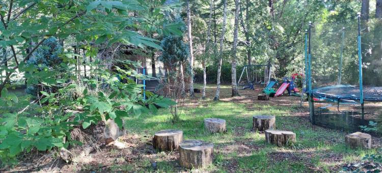 安特雷瓦列斯和佩利内斯(Entre Hualles y Pellines)图片