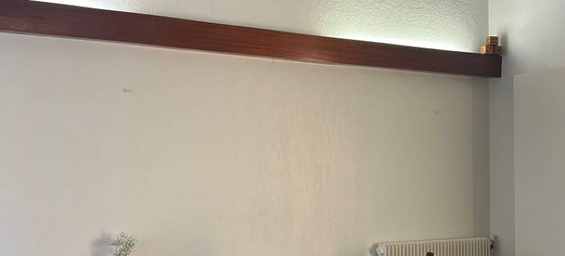 法兰西酒店(Hôtel le France)图片