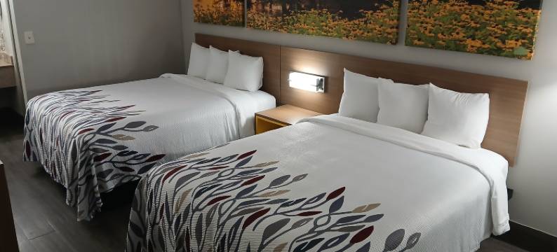 利兹红屋顶旅馆(Red Roof Inn Leeds)图片