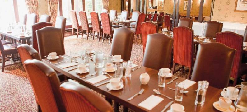 阿尔维斯顿庄园麦克唐纳德酒店(Macdonald Alveston Manor Hotel)图片