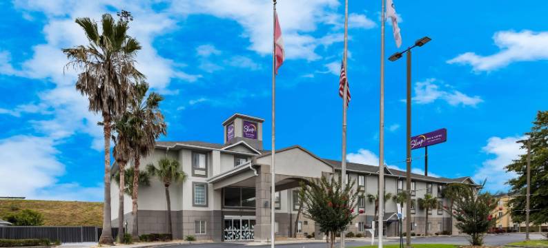 舒眠套房酒店(Sleep Inn & Suites)图片