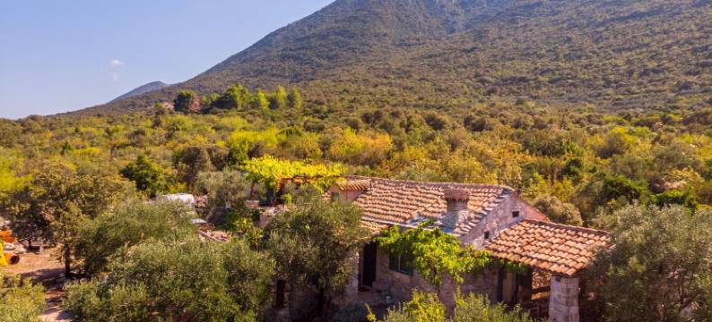 薰衣草之家(House Lavanda)图片