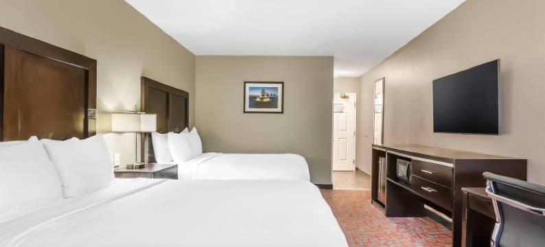 北查尔斯顿-诺斯伍兹舒适套房酒店(Comfort Inn & Suites North Charleston - Northwoods)图片