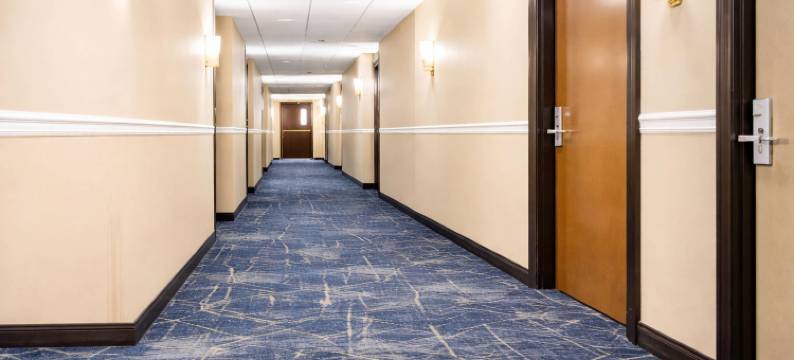 舒适套房酒店(Comfort Inn & Suites)图片