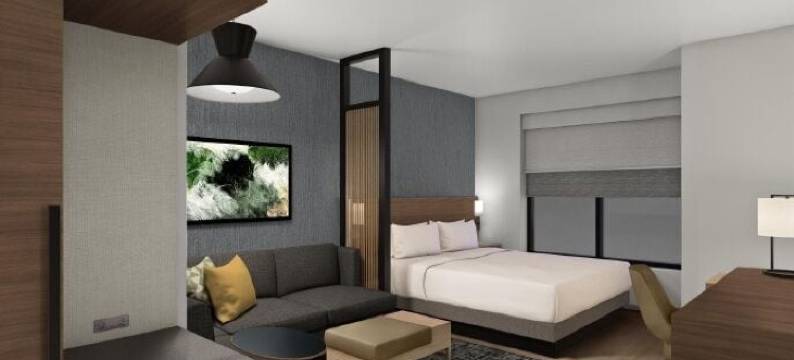 凯悦嘉轩卡里亚里会议中心(Hyatt Place Cariari Convention Center)图片