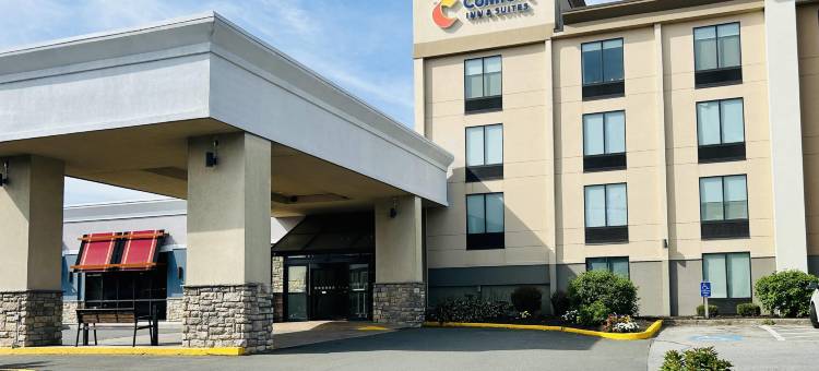 舒适酒店及套房-丹伯里-贝瑟尔(Comfort Inn & Suites Danbury-Bethel)图片