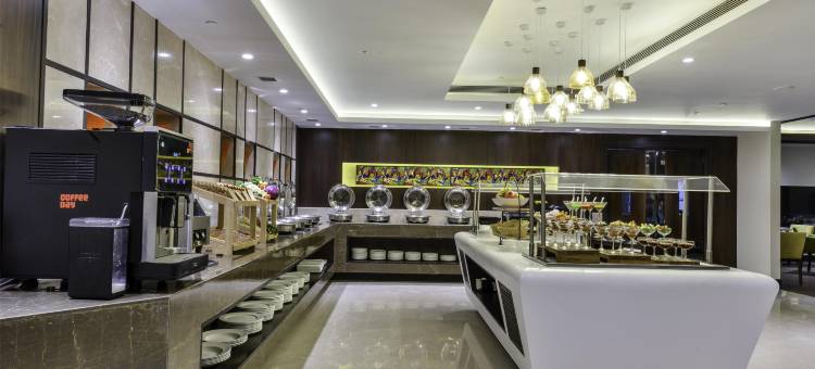 查漠柠檬树酒店(Lemon Tree Hotel Jammu)图片