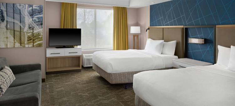 底特律南菲尔德万豪SpringHill酒店(SpringHill Suites Detroit Southfield)图片