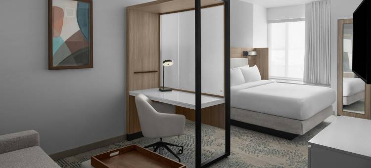 爱达荷福尔斯SpringHill Suites酒店(SpringHill Suites Idaho Falls)图片